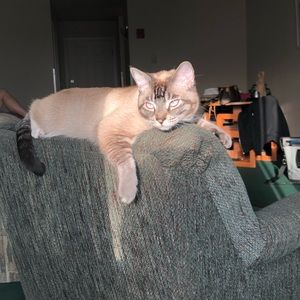 Meet your Posher, Sabrina